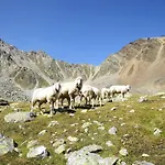 Wildmoos-1 By Interhome * 索尔登