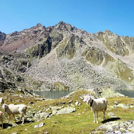 Appartement Wildmoos-1 By Interhome *