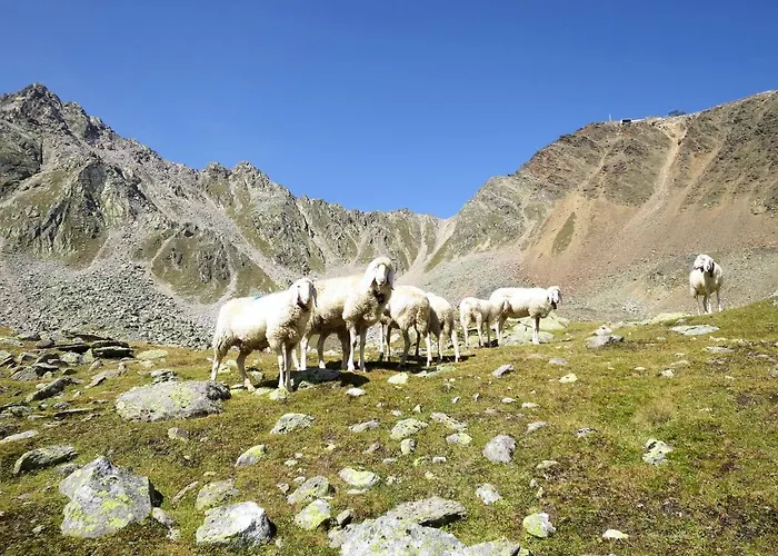 Wildmoos-1 By Interhome * Ζόλντεν